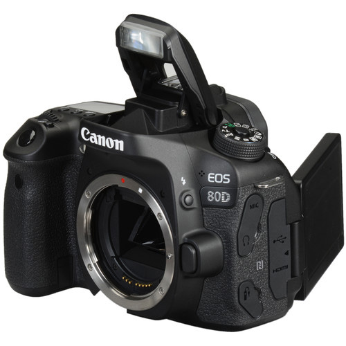 Canon Mirrorless Body